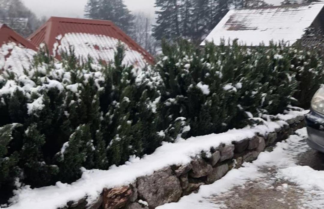 Apartman Bella Vita Kolašin Esterno foto