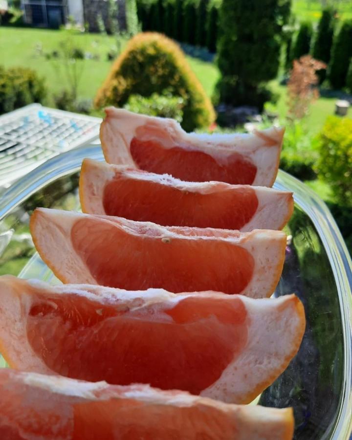 Apartman Bella Vita Kolašin Esterno foto